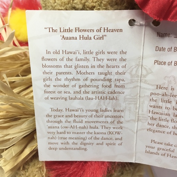 Hawaiian Collectibles Hula Girl Bear Passport Grass Skirt Plush w/Tag 2003 - Picture 8 of 12